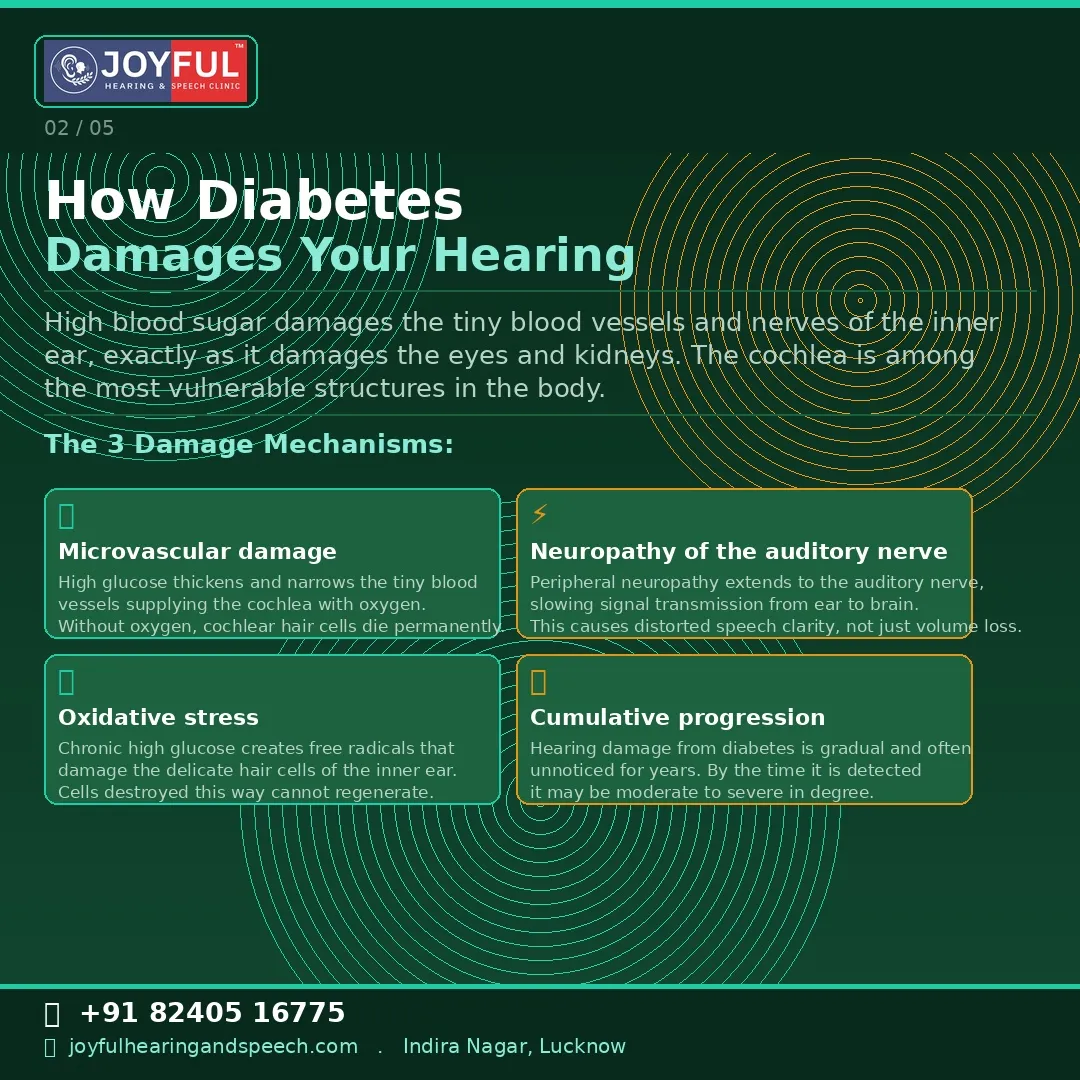 Microvascular Damage to the Cochlea from Diabetes
